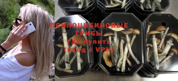 PSILOCYBIN Протвино