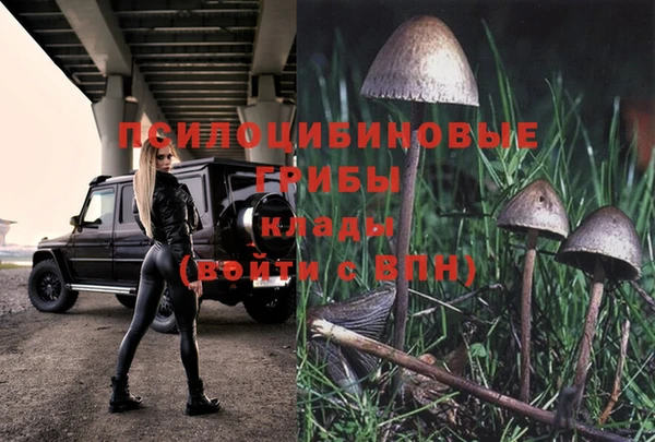 марки lsd Пролетарск