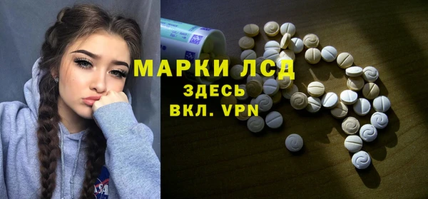 винт Алзамай