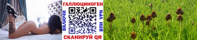 Псилоцибиновые грибы мицелий  это клад  Инсар 